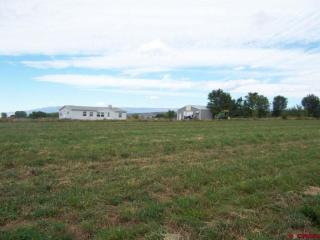 9283 3100 Rd, Hotchkiss, CO 81419-6100