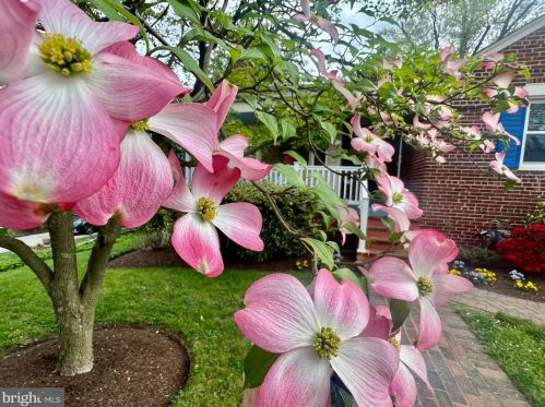 2202 Dennis Ave, Silver Spring MD  20902-4147 exterior