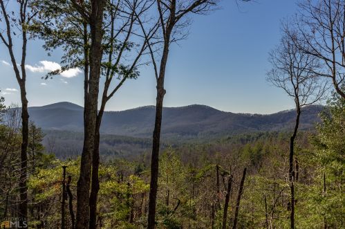 1185 Tickanetley Rd, Ellijay, GA 30536-0064