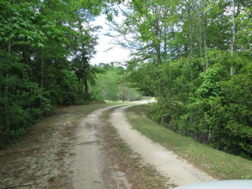 7209 Parkers Ferry Rd, Adams Run, SC 29426-5044