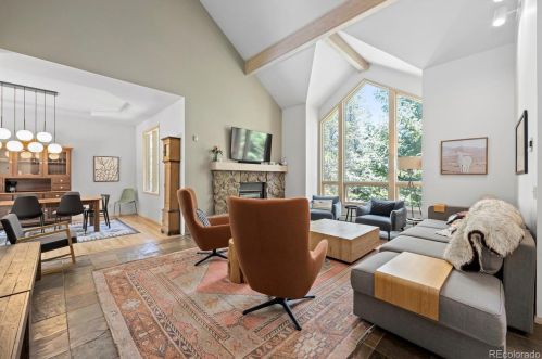 21 Saw Whiskers Cir, Montezuma CO  80435-7903 exterior