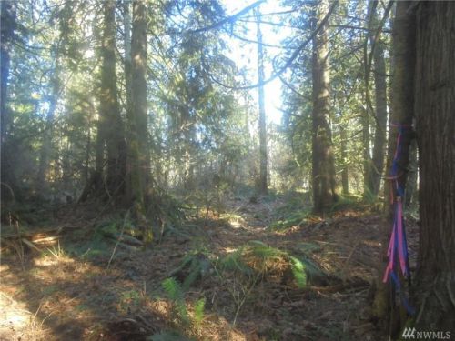 8000 Center Rd, Dabob, WA 98376-9705