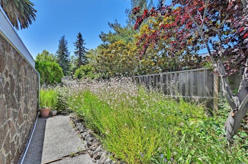 90 Walnut Ave, Mill Valley, CA 94941-2823