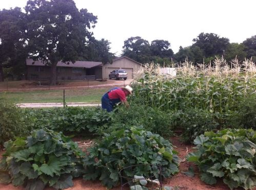 8959 Hilltop Rd, Argyle TX 76226-5012 exterior