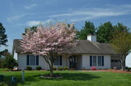 2231 Bloomfield Ave, Roanoke, VA 24012-6779