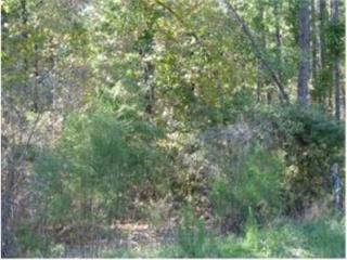 806 Sentinel Ln, Harlem, GA 30802-3917