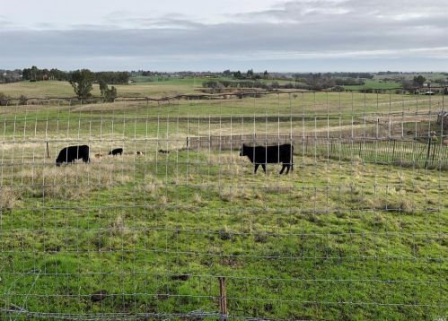 4127 Cantelow Rd, Vacaville, CA 95688-9709