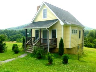 245 Goodwin Creek Trl, Afton VA  22920-2852 exterior