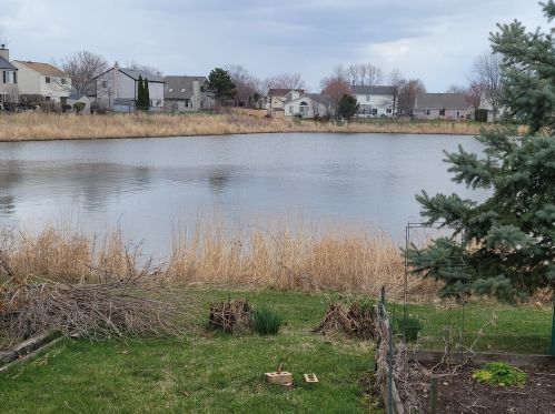 1418 Walnut Cir, Carol Stream IL  60188-9073 exterior