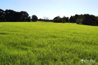 2431 Westfield Church Rd, Chesterfield, SC 29709-5166