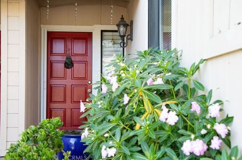 9365 Jasper Ave, Ragged Point, CA 93452-9707