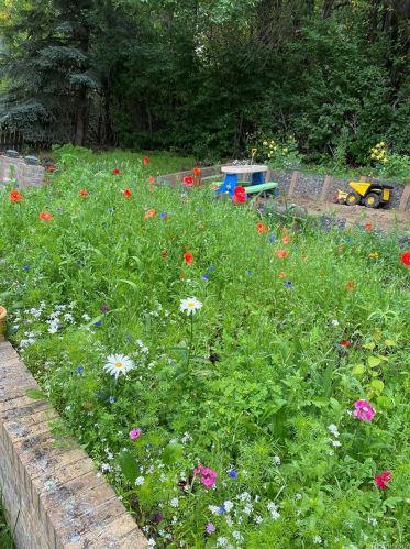 11220 66th Pl, Arvada CO  80004-2552 exterior