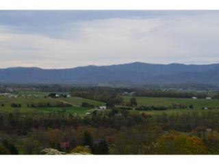 541 River Village Ln, Afton, TN 37616-6209