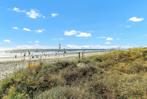 1100 Pavilion Dr, Isle Of Palms SC  29451-2275 exterior