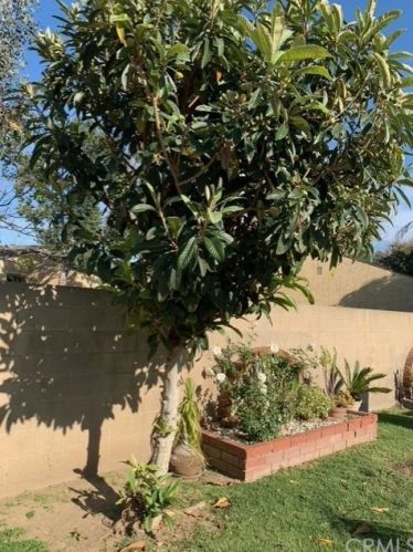 228 Merrimac Dr, Anaheim CA  92807-2754 exterior