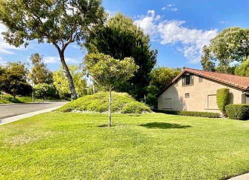 23672 Villena, San Juan Capistrano, CA 92692-1852