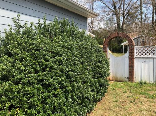 6080 Katherine Rd, Rex GA 30273-1120 exterior