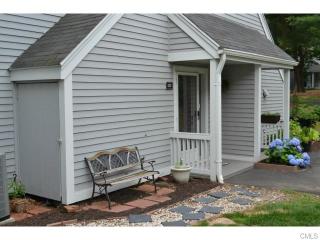 132 Country Pl, Huntington CT  06484-3876 exterior