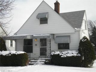 3215 142 St, Cleveland OH  44110-1901 exterior