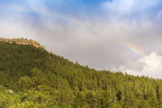 5080 Perry Park Rd, Deckers, CO 80135-8209