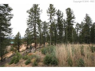 286 Saguache Dr, Twin Rock, CO 80816-9450