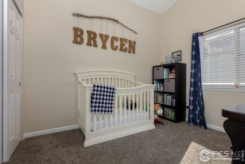 338 Graham Ln, Loveland CO exterior