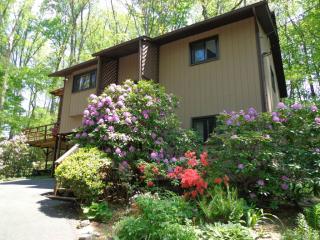526 Jobe Rd, Elizabethton, TN 37643-3906