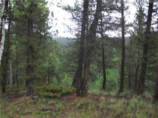 547 Spruce Lake Dr, Divide, CO 80814-9757
