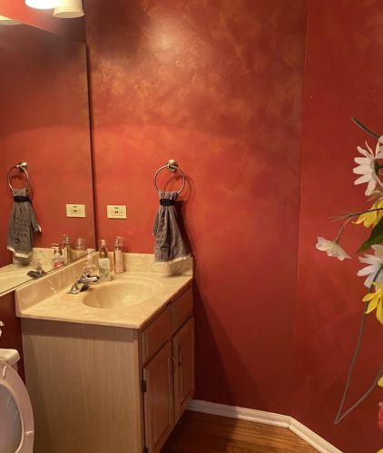 1142 Buckingham Dr, Carol Stream IL  60188-4317 exterior