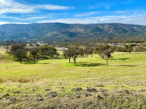 180 Hawkridge Rd, Copperopolis, CA 95228-9445