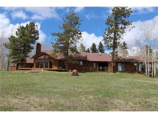 356 Dani Pl, Divide, CO 80814-9123