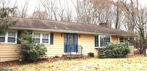 60 Cedar Lake Rd, Parsippany, NJ 07834-1764