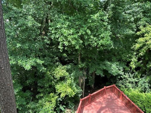 424 Lindbergh Dr, Atlanta GA  30305-3832 exterior