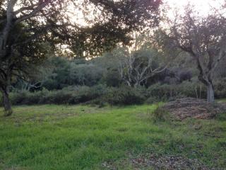 19730 Moonglow Rd, Salinas, CA 93907-1412