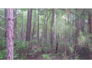 228 Altman Pl, Ridgeville, SC 29472-3002
