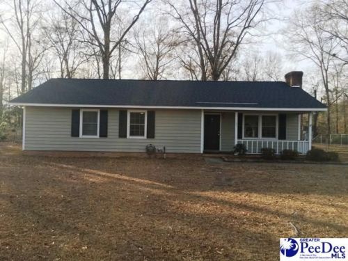 165 Chatham Trace Cir, Cheraw, SC 29520-4040