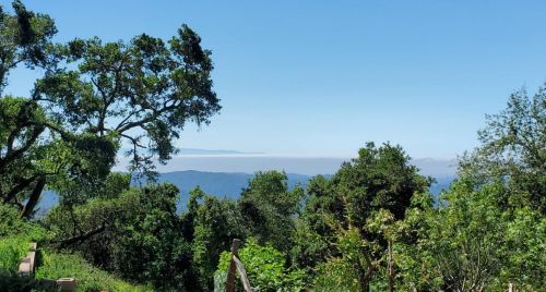 24980 Skyland Rd, Los Gatos, CA 95033-8162