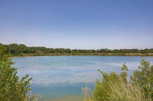 6107 Elam Rd, Dallas TX 75217-5646 exterior