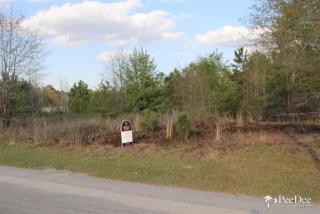 2498 Easy St, Effingham, SC 29541-4486