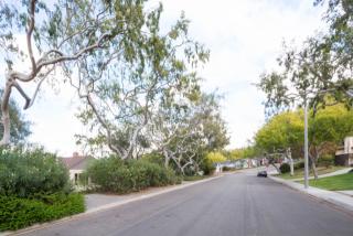 5439 Linda Dr, Torrance, CA 90505-3265
