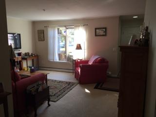 91 Bellamy Woods, Dover, NH 03820-9381