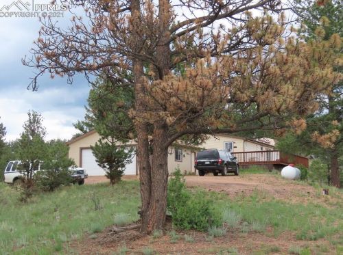 183 Bear Mountain Rd, Twin Rock, CO 80816-9605