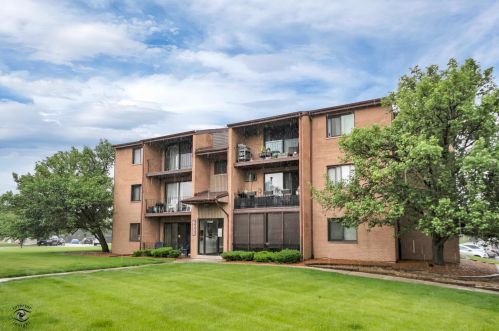 9935 El Cameno Real Dr, Orland Park, IL 60462-3676