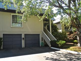 1619 102nd Pl, Bellevue, WA 98004-3603