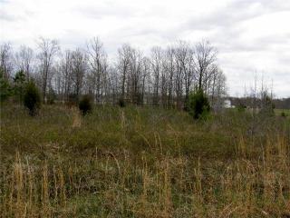 222 Pioneer Rd, Hohenwald, TN 38462-2272