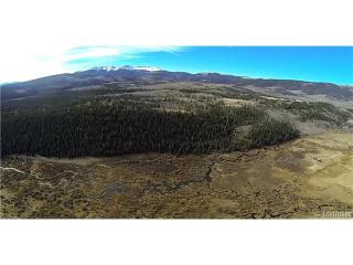 1381 Willow Way, Fairplay, CO 80456-9742