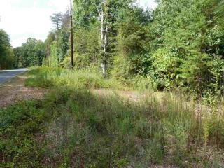 493 Pinkwood Dr, Shingle Hollow, NC 28139-2373