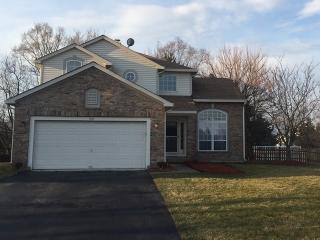 331 Tallgrass Dr, Hanover Park, IL 60103-5072