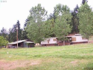 844 Starveout Creek Rd, Azalea, OR 97410-9704