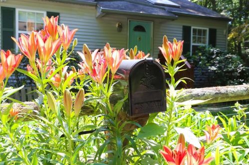 64 Great Quarter Rd, Sandy Hook, CT 06482-1562